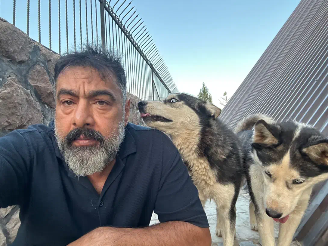 واگذاری هاسکی نر و ماده عقیم شده|سگ|آبعلی, |دیوار