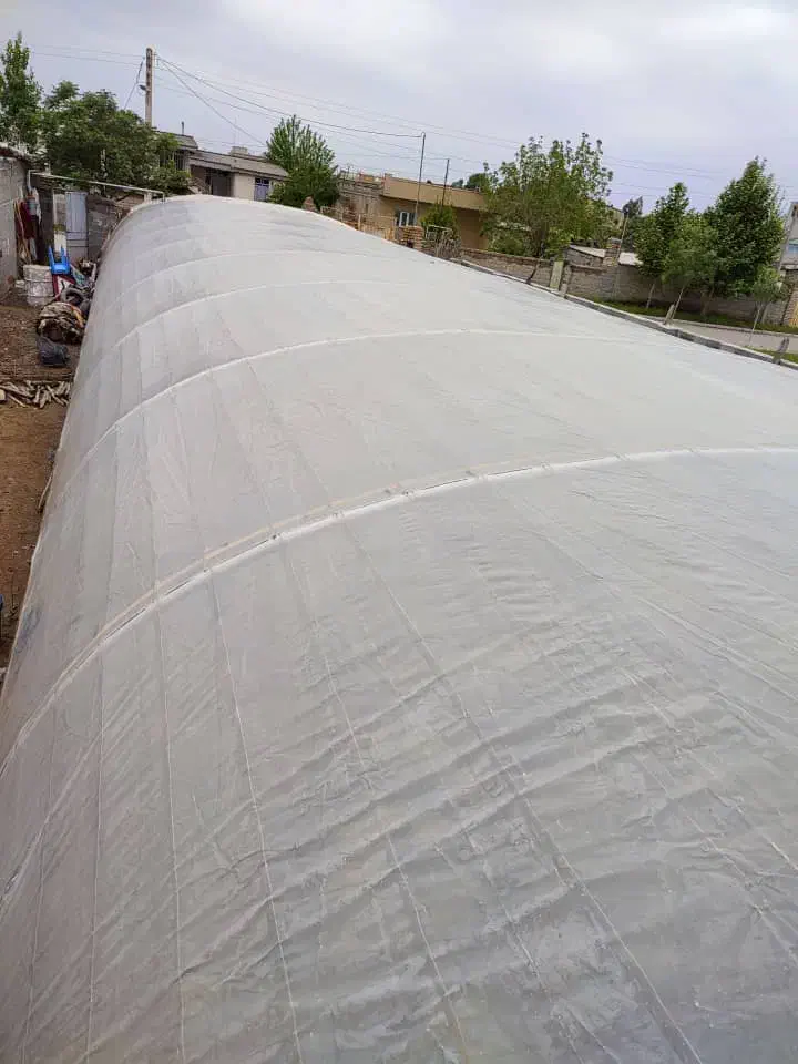 گلخانه|عمده‌فروشی|گنبد کاووس, |دیوار