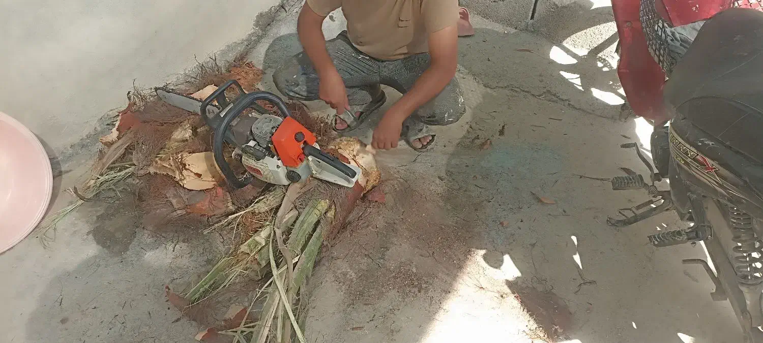 خدمات درخت بری ونخل بری|خدمات باغبانی و درختکاری|بندر کنگان, |دیوار