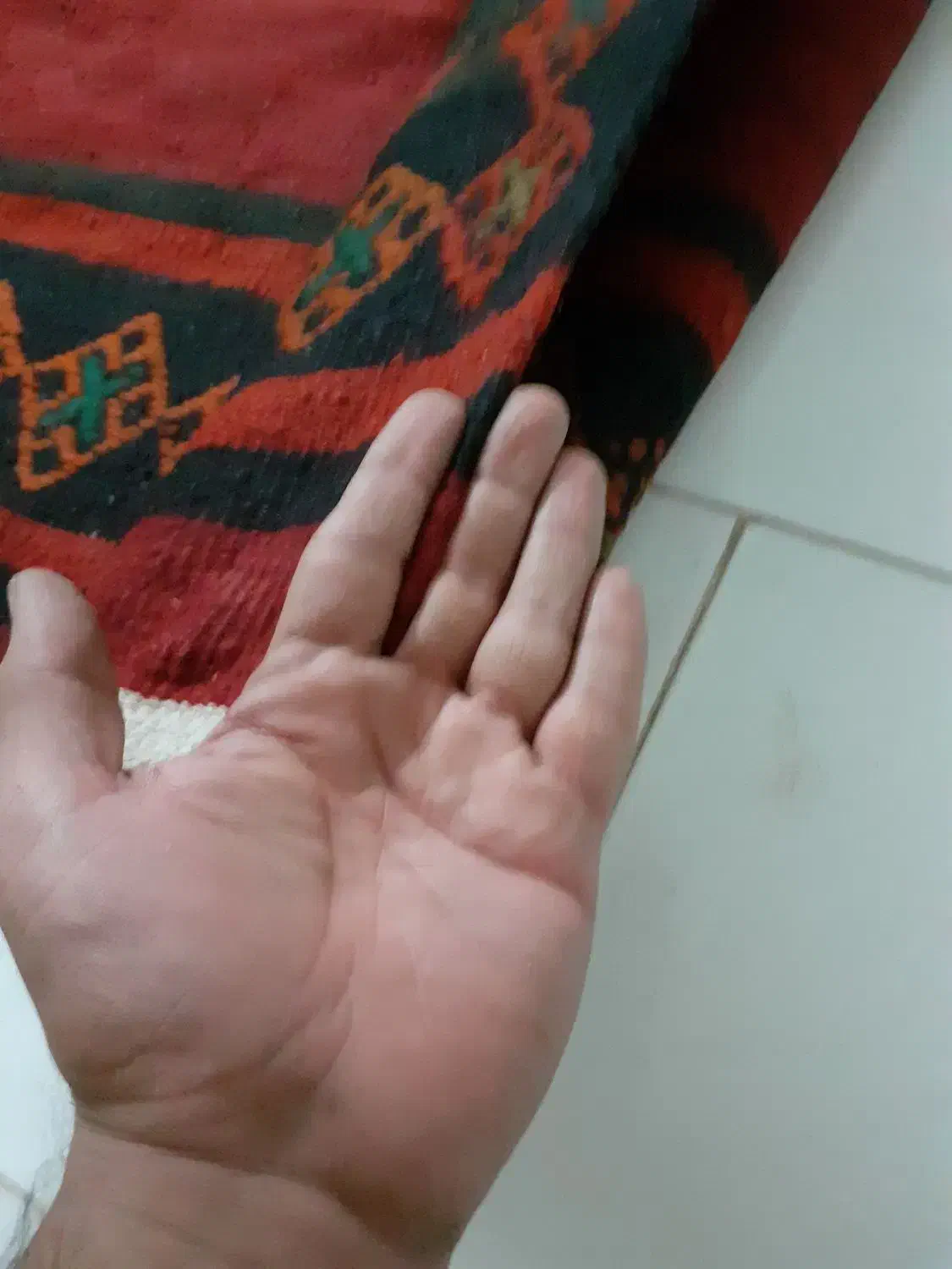 گلیم|گلیم، جاجیم، گبه|تهران, ابوذر|دیوار