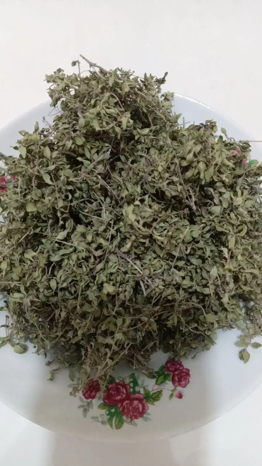 آویشن کوهی|خوردنی و آشامیدنی|پاکدشت, حصار امیر|دیوار