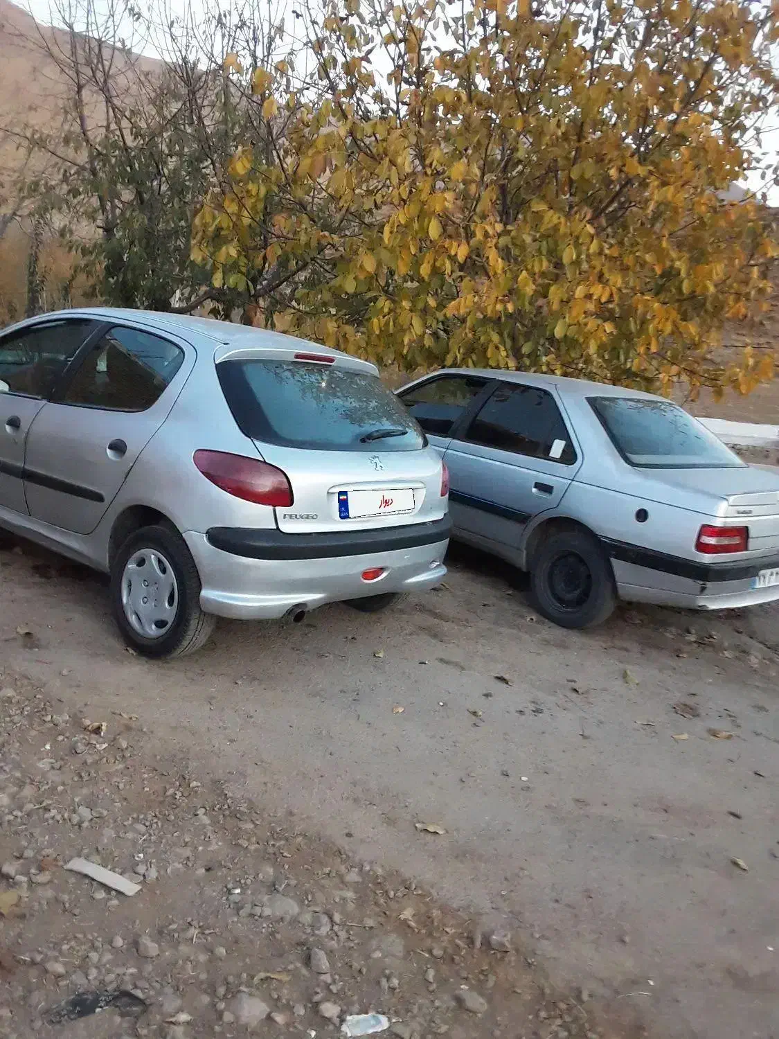 فروش پژو 405 و 206، مدل 1389، سالم و تمیز|خودرو سواری و وانت|چنارود, |دیوار