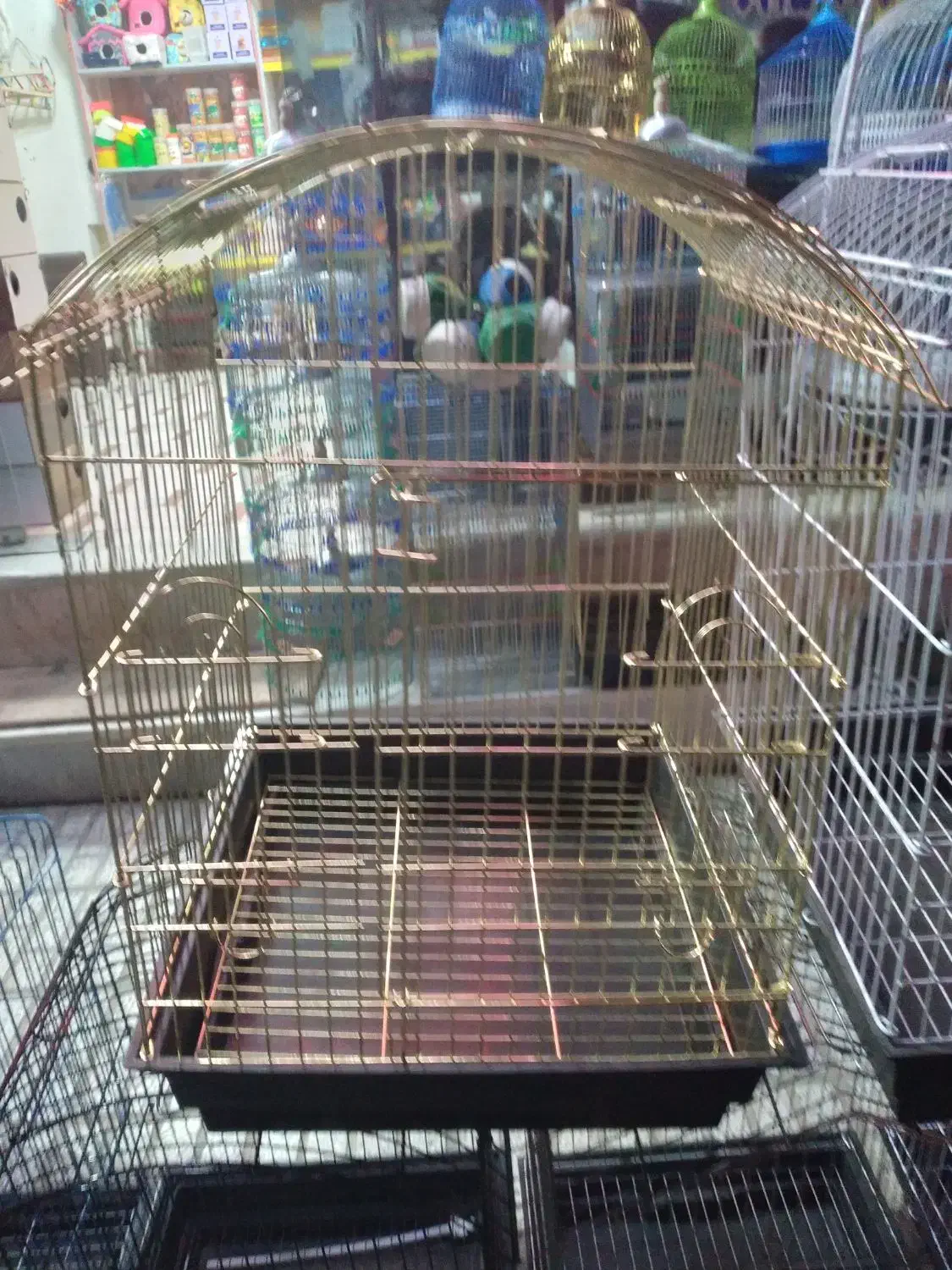 کلکسیون قفس پرنده|لوازم جانبی حیوانات|تربت‌حیدریه, شهید قرنی|دیوار
