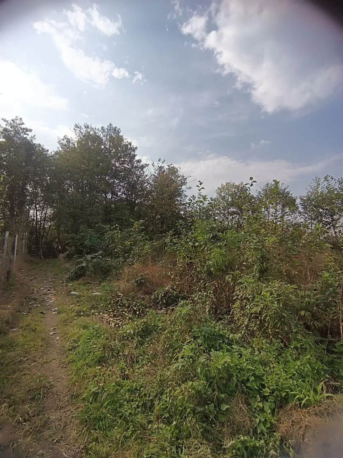 زمین ۲۳۰ متری با پروانه ساخت منطقه ویلایی|فروش زمین و ملک کلنگی|لاهیجان, کوه بیجار|دیوار