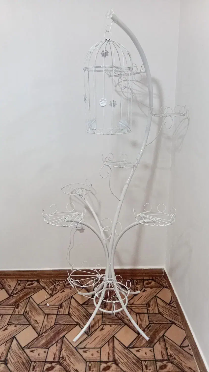 جاگلدانی رویال|گل و گیاه طبیعی|مراغه, |دیوار