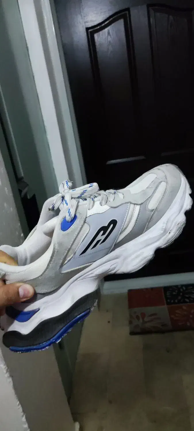 کفش|کیف، کفش، کمربند|سهند, |دیوار