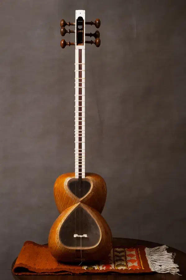 راهنمایی یک واحد آپارتمان شهریار موسیقی تار|فعالیت داوطلبانه تحقیقاتی|شهریار, شهریار|دیوار