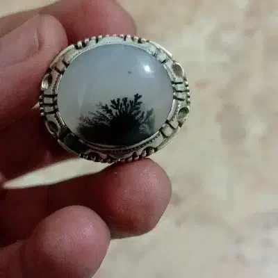 انگشتر شجر قاعن و فیروزه نیشابور|جواهرات|کرج, باغستان|دیوار