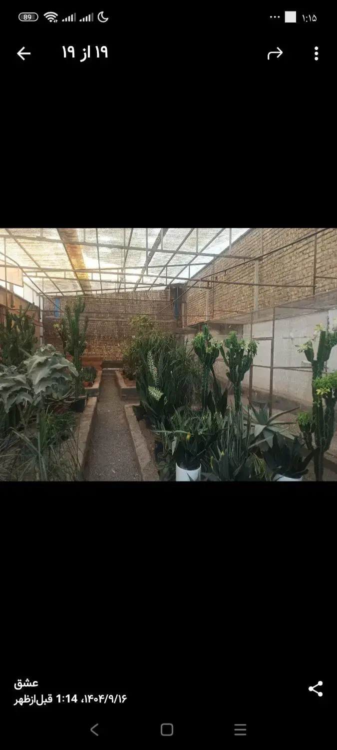 یک قطعه زمین بهترین کوچه مبارک آباد|فروش زمین و ملک کلنگی|قنوات, |دیوار