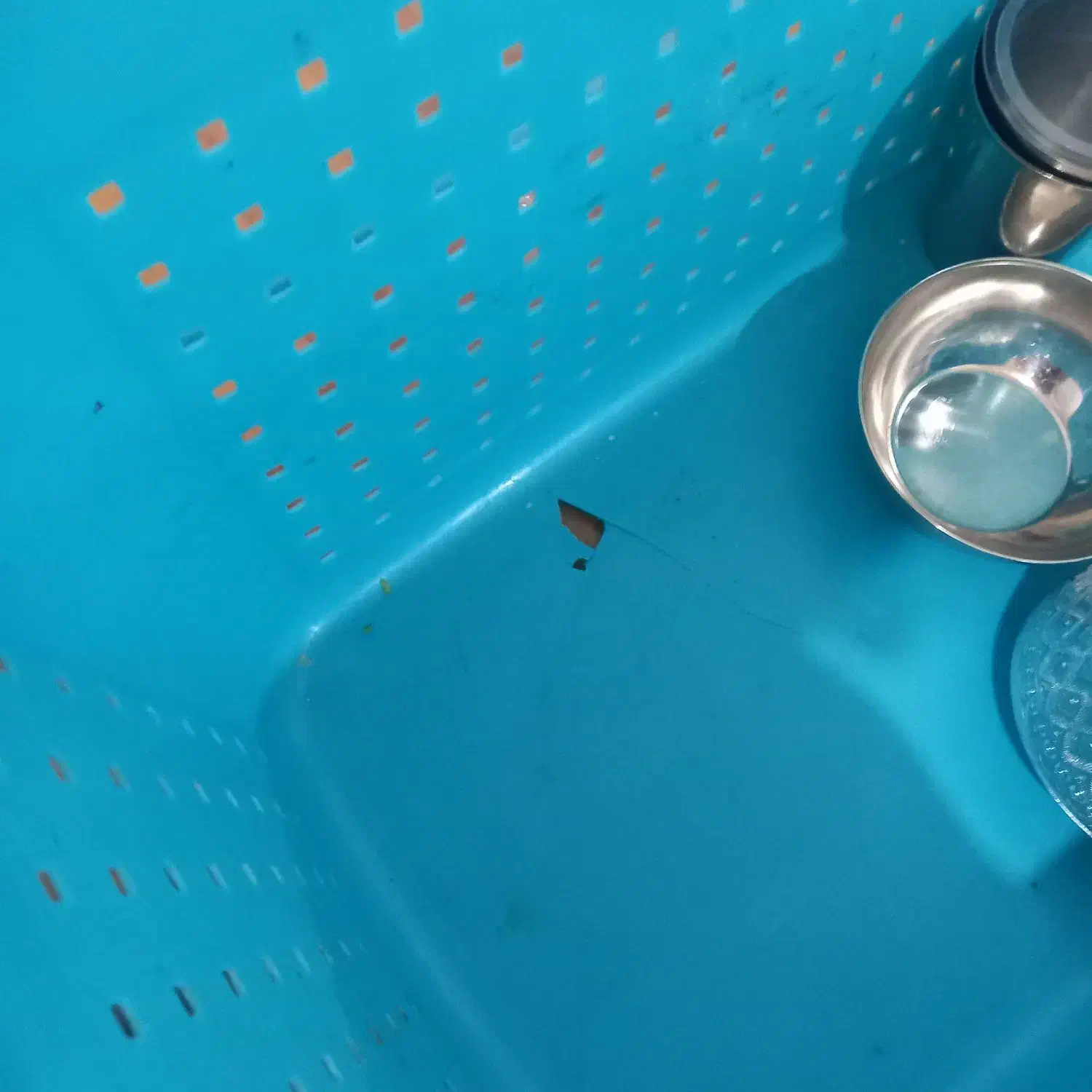 ظروف پلاسکو همشون ۵۰۰|ظروف سرو و پذیرایی|یاسوج, |دیوار