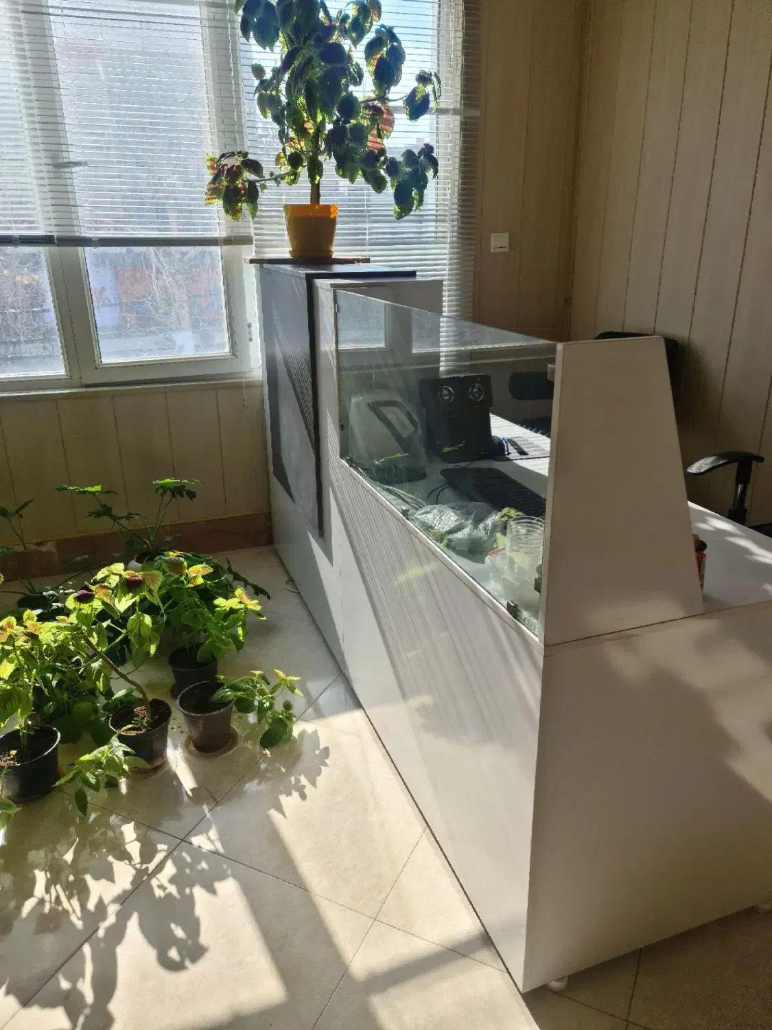 میز و پیشخوان اداری|مبلمان اداری|ملایر, |دیوار