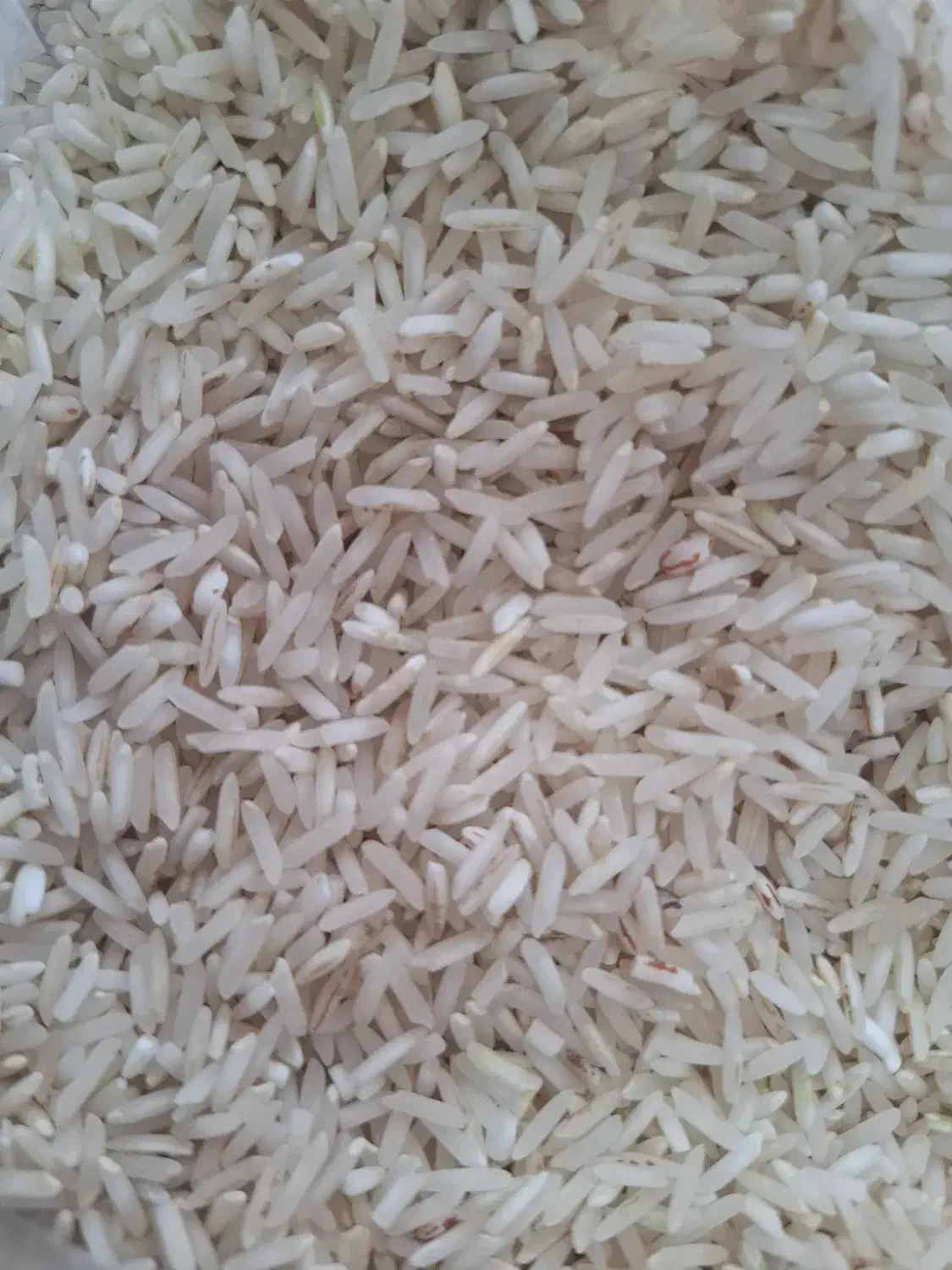 فروش برنج|خوردنی و آشامیدنی|دهدشت, |دیوار