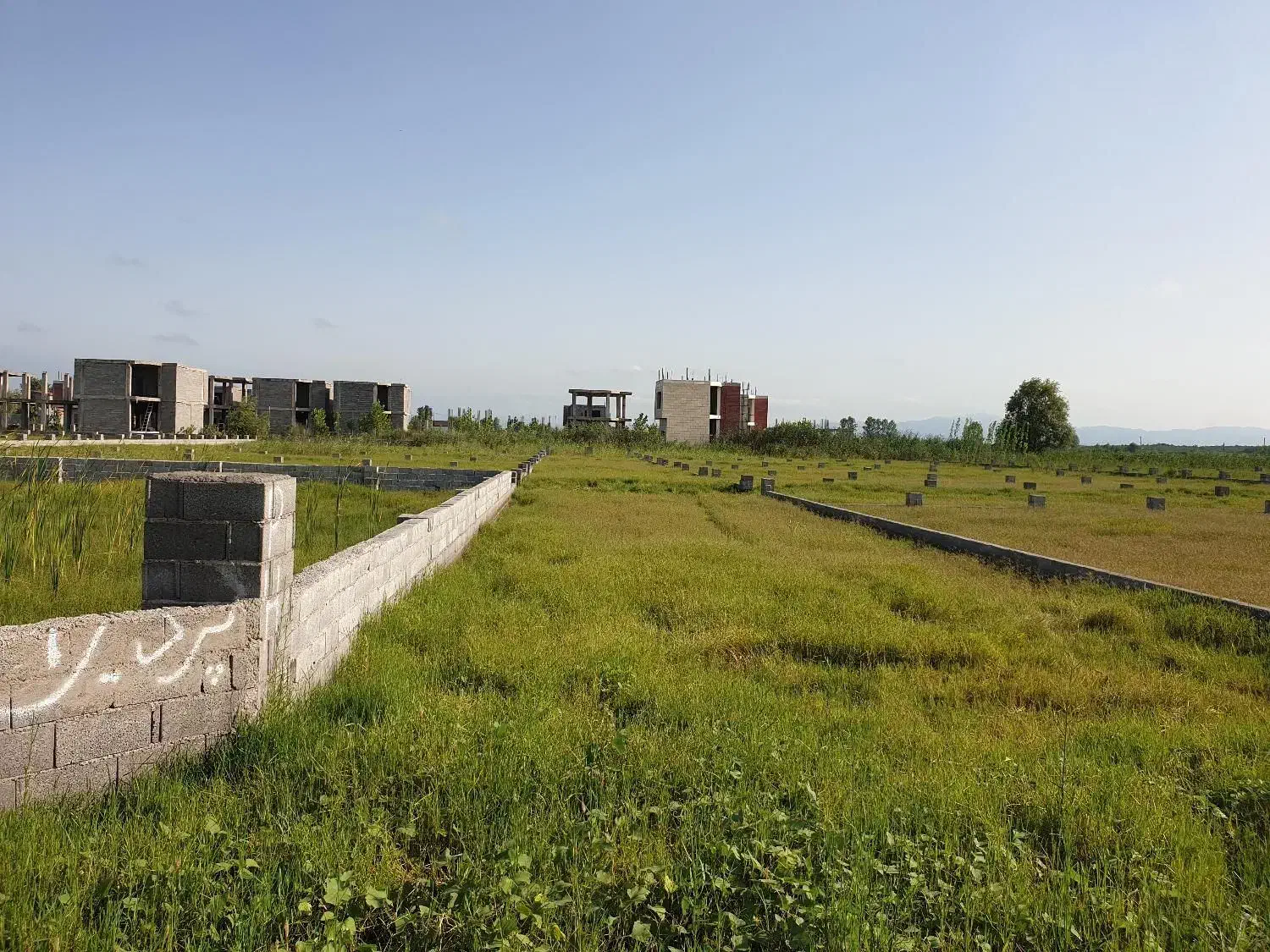 زمین مسکونی داخل بافت مسکونی با امتیازات ارائه سند|فروش زمین و ملک کلنگی|رشت, شهرک شهید رجایی|دیوار