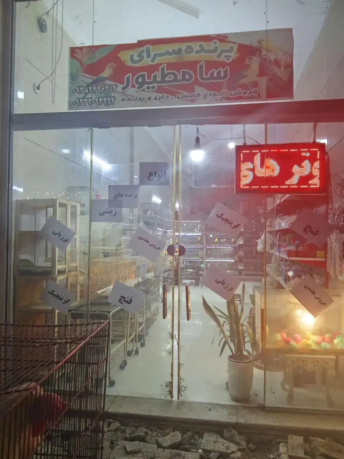 پرنده عروس ملنگو گرینچیک راهب|پرنده|چهاردانگه (تهران), |دیوار