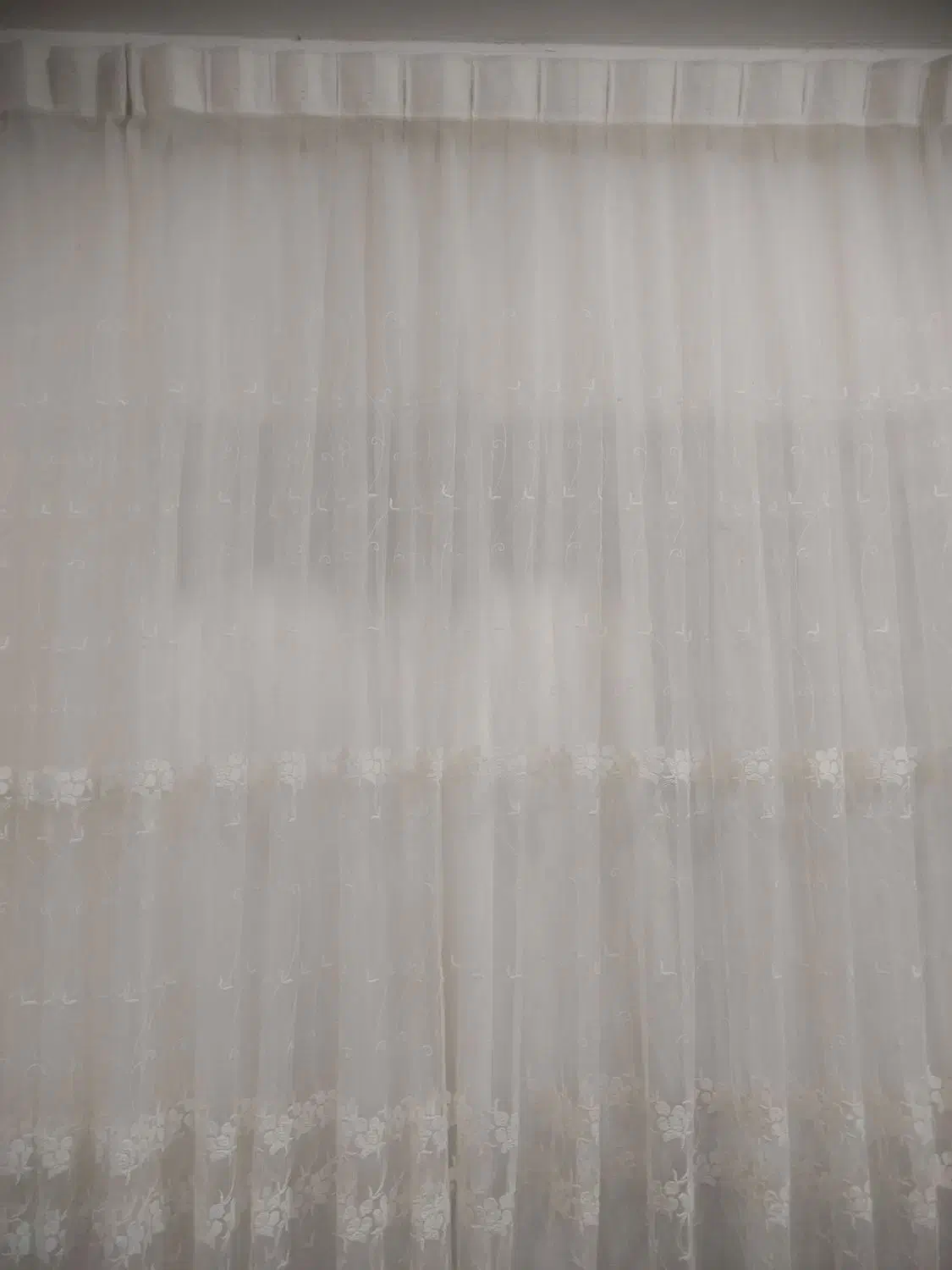 پرده سالم|پرده، رانر، رومیزی|رشت, تازه آباد|دیوار