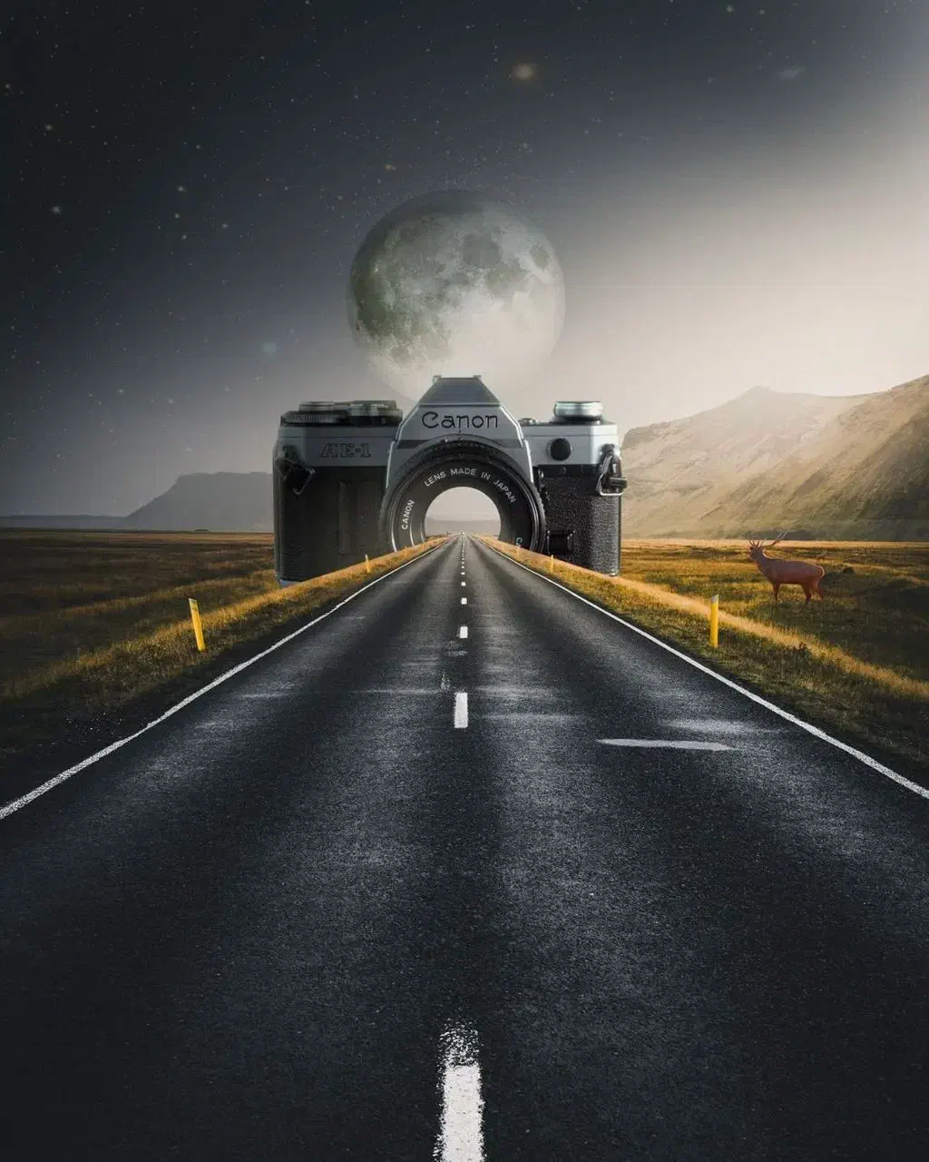 آموزش عکاسی ، تصویربرداری ،موبایلگرافی|خدمات آموزشی|شیراز, شهرک استقلال|دیوار