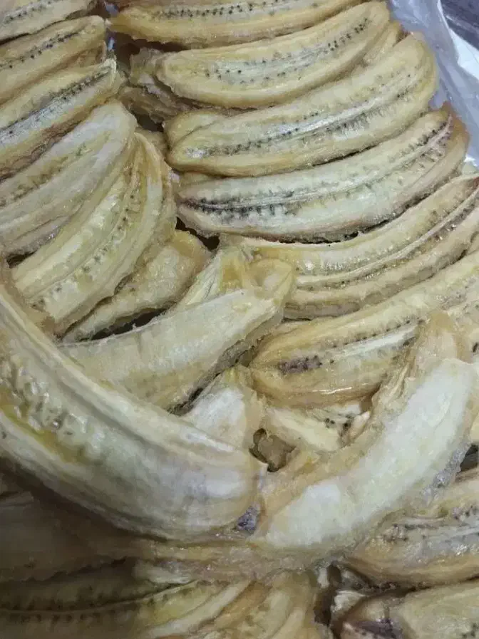 میوه خشک|خوردنی و آشامیدنی|مرودشت, پشت سایپا|دیوار