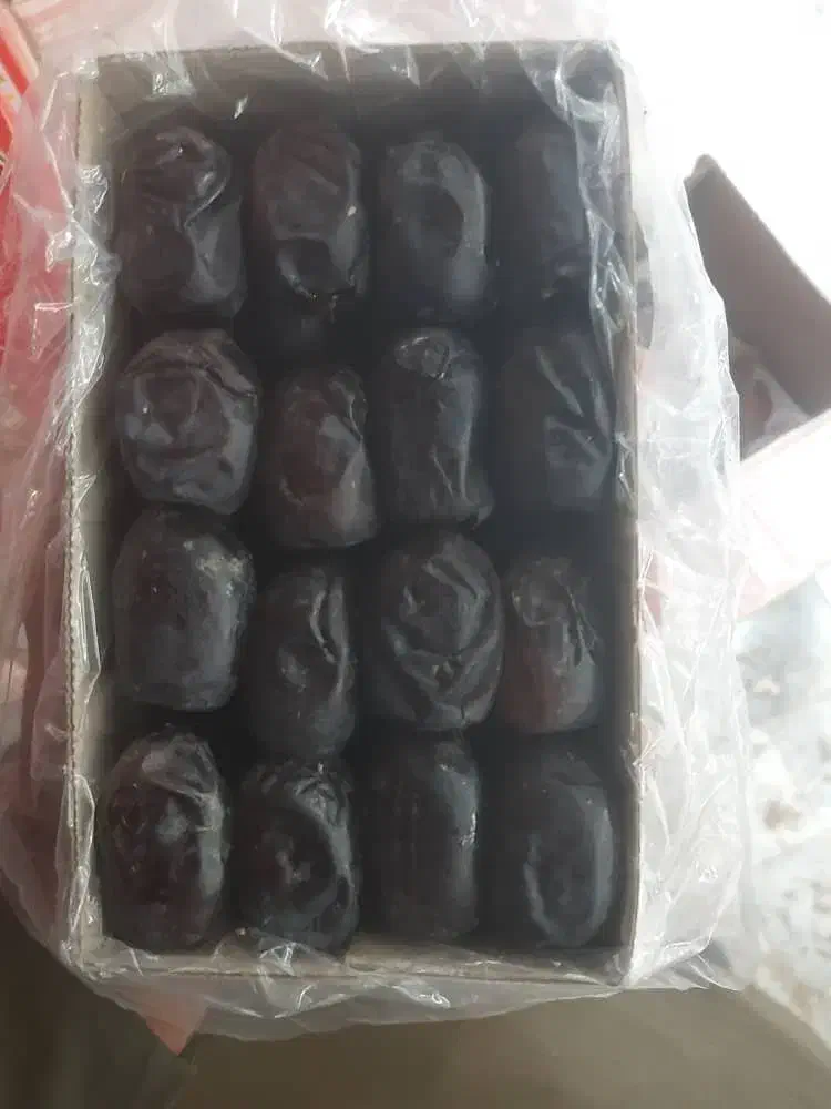 خرمای مضافتی درجه یک|عمده‌فروشی|سراوان, |دیوار