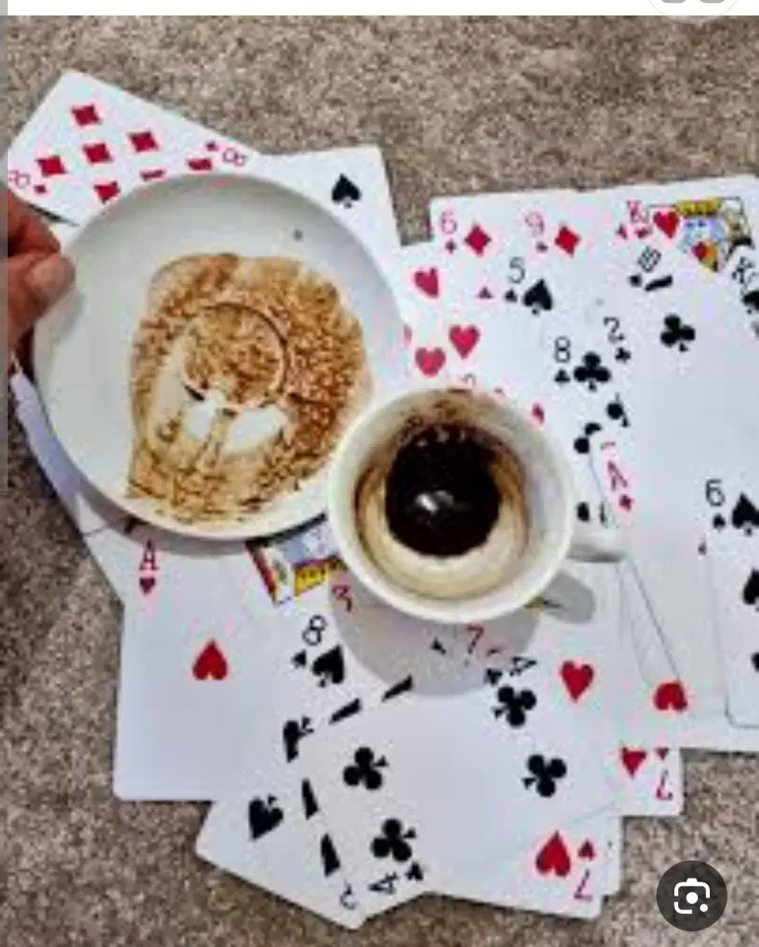 فال قهوه|خدمات پذیرایی، مراسم|بوشهر, |دیوار