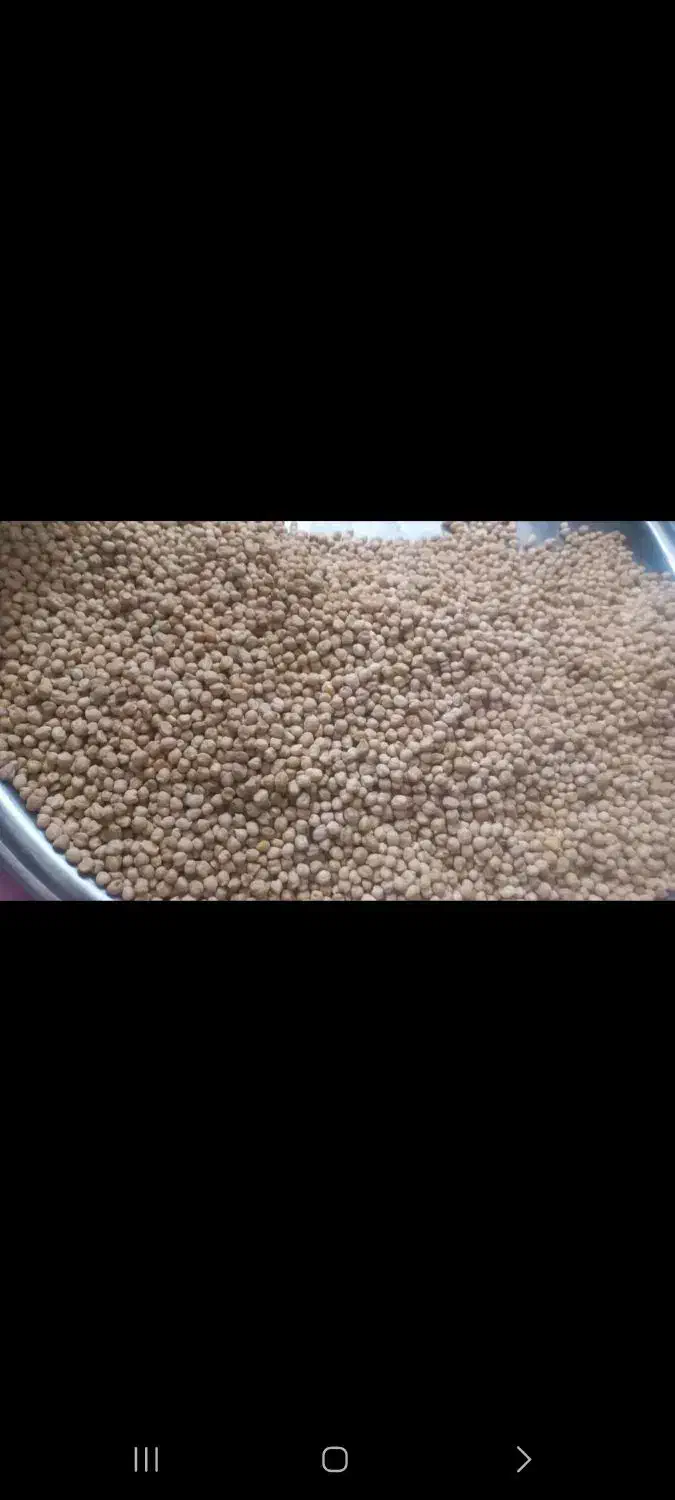 نخوددیمه|خوردنی و آشامیدنی|مشهد, کوی المهدی|دیوار