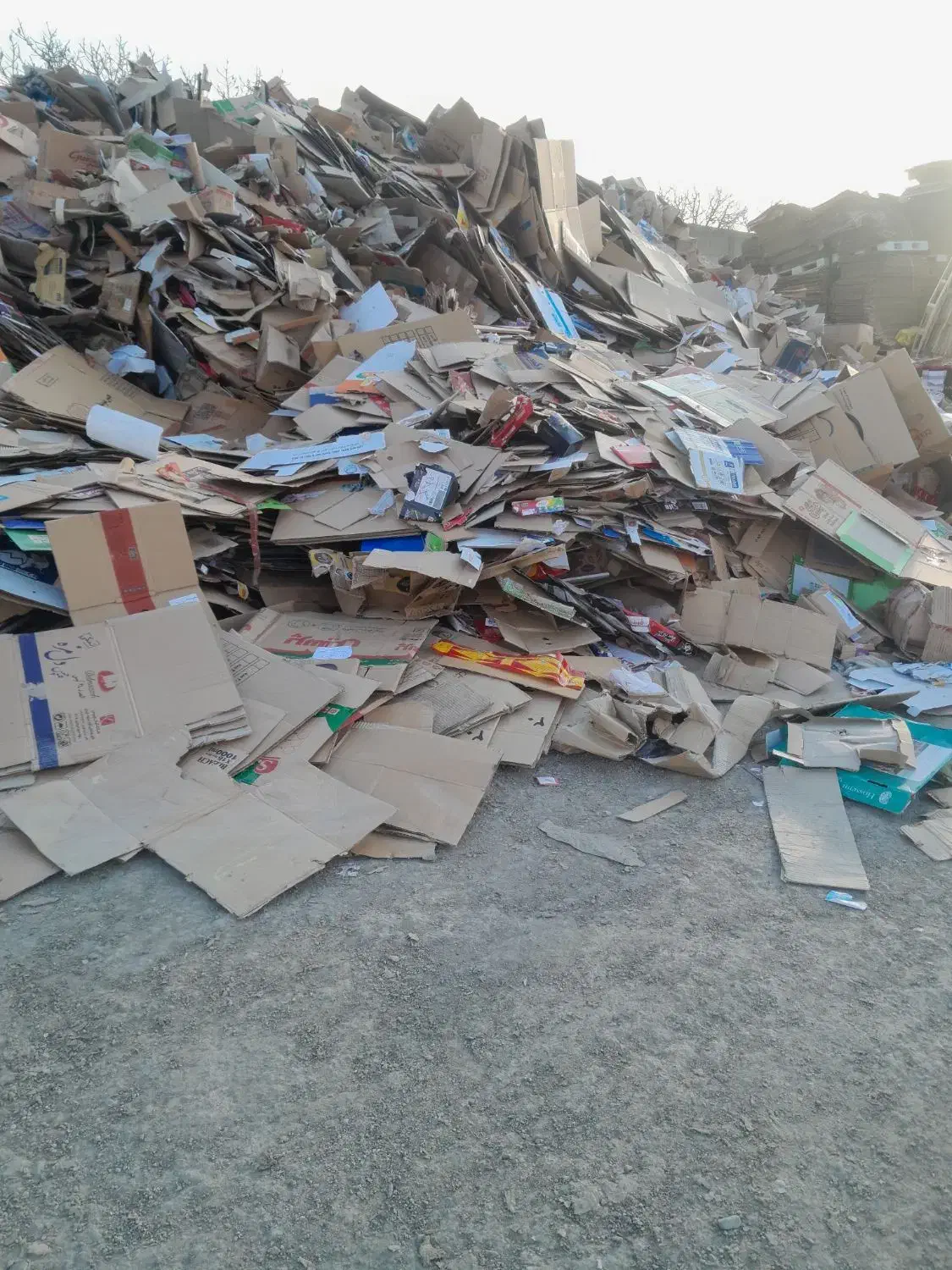 خرید و فروش ضایعات کارتن و کاغذ(پرس کارتن فارسی)|عمدهفروشی|ری, شهرک نظامی|دیوار