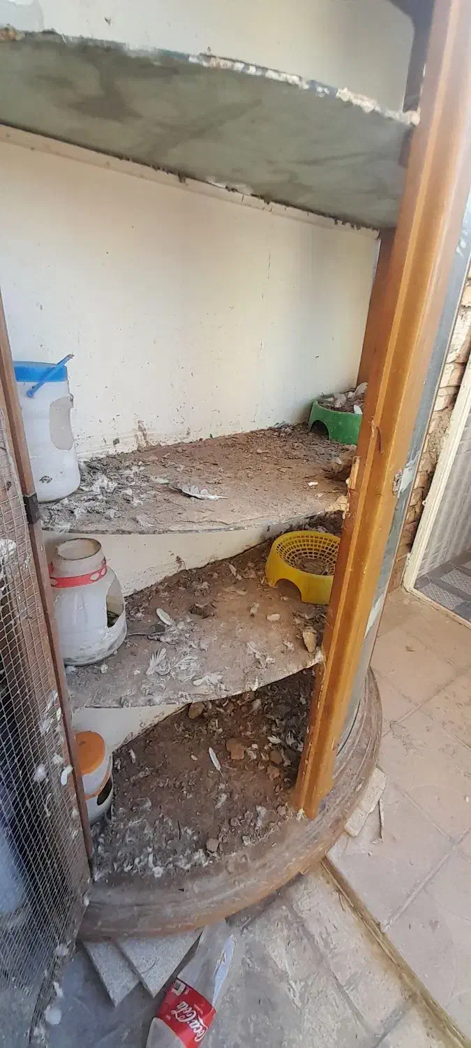 قفس پرنده|لوازم جانبی حیوانات|تربت جام, والفجر|دیوار