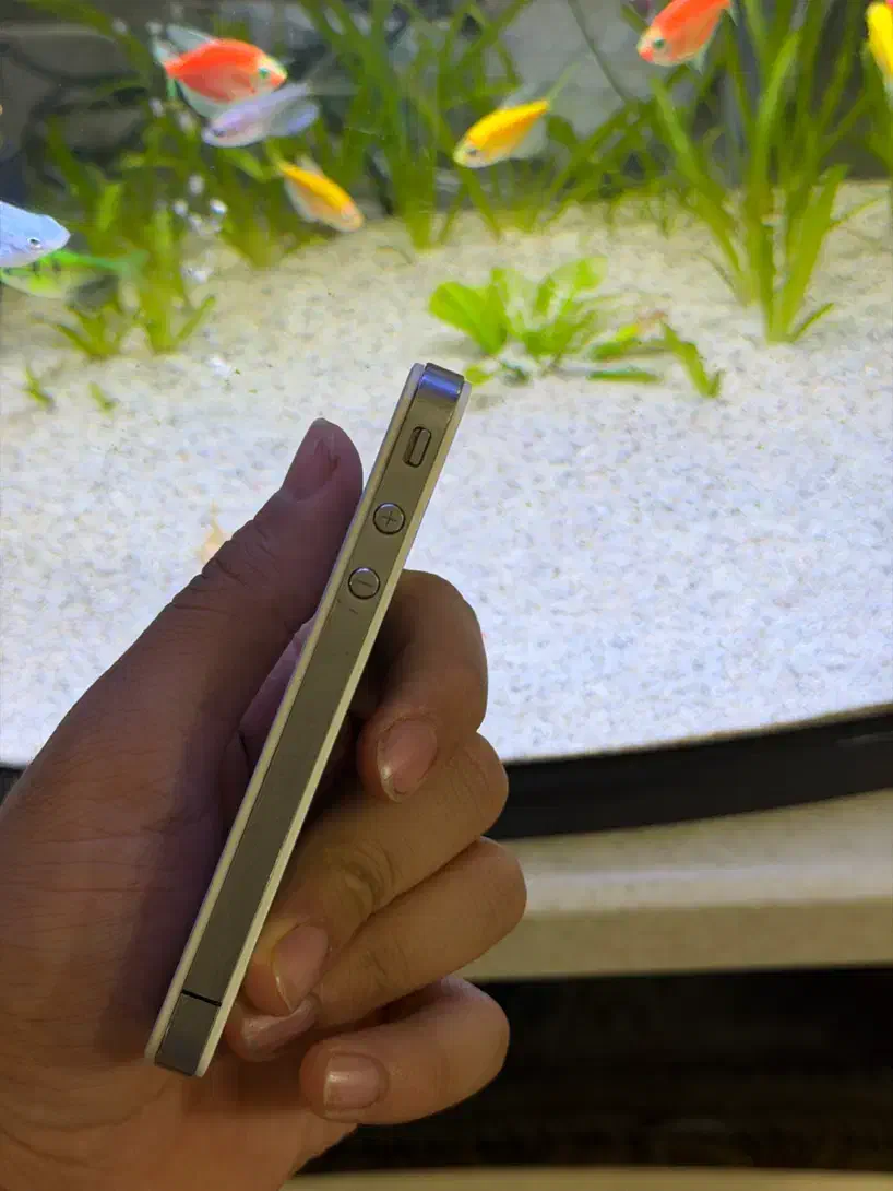 آیفون ۴ سفید ویترینی|موبایل|سنندج, |دیوار