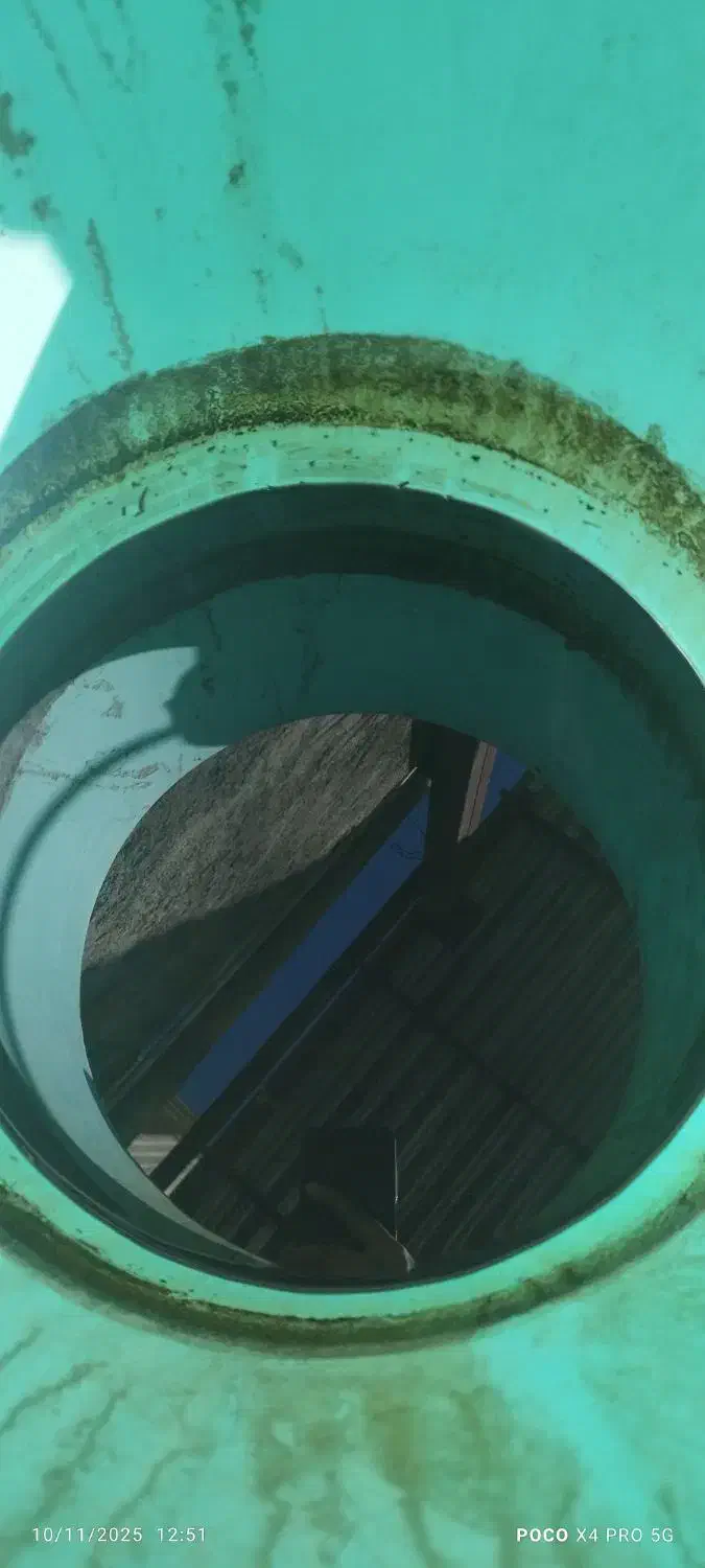 مواد مایع ظرفشویی|مواد شوینده و دستمال کاغذی|زاهدان, |دیوار