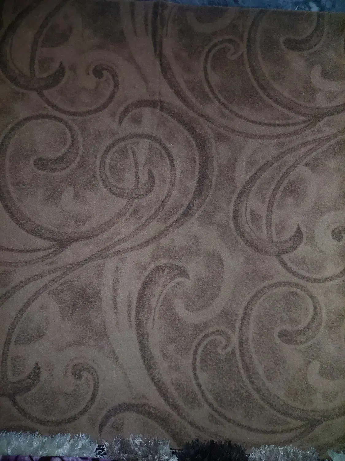 موکت ۱۲ متری|موکت|اراک, |دیوار