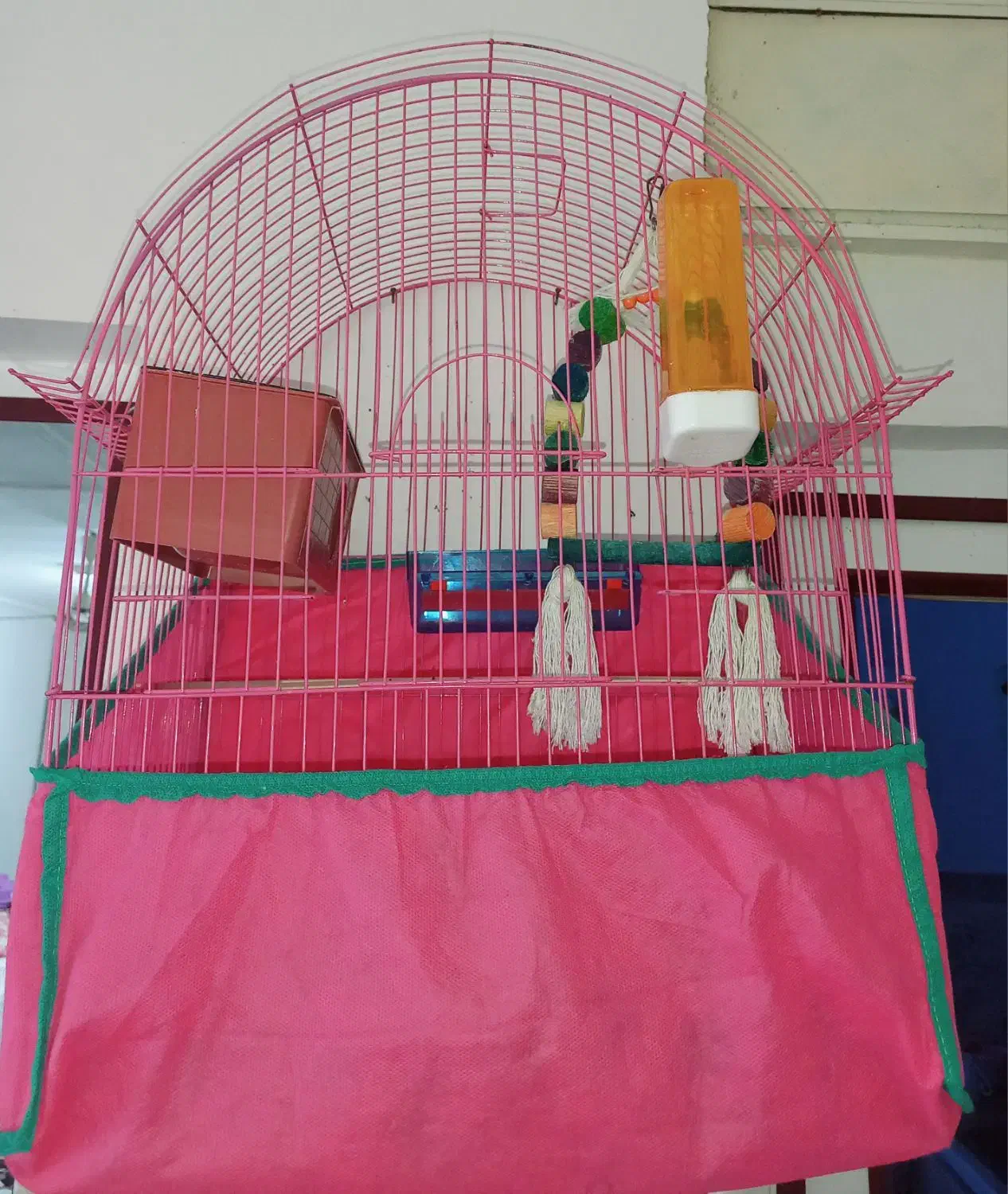 فقس نو برای مرغ عشق با دونه و کلسیم.|لوازم جانبی حیوانات|صومعه‌سرا, |دیوار