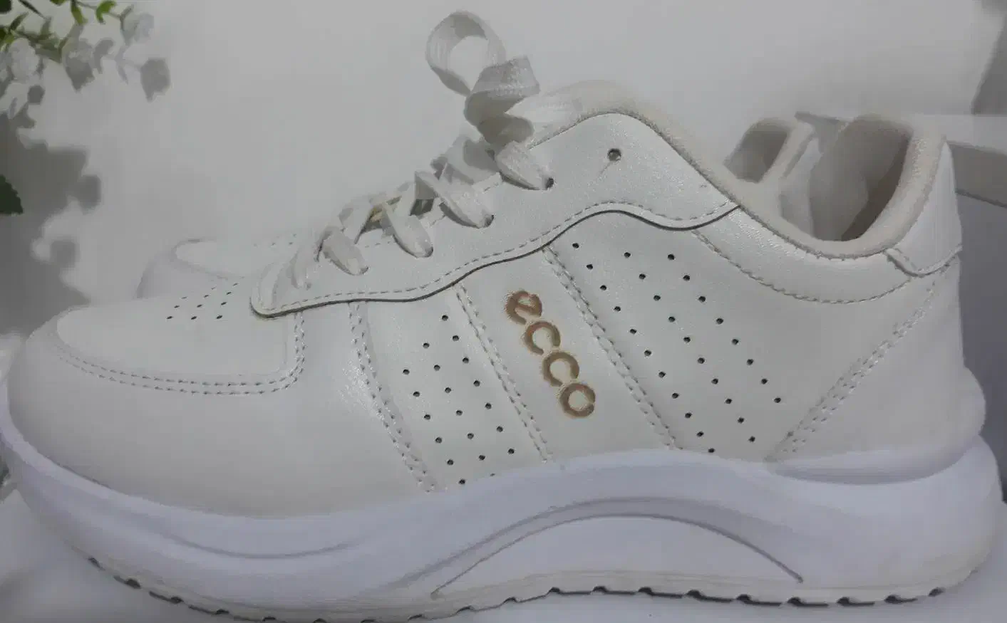 کفش تازه خریداری شده|کیف، کفش، کمربند|دوگنبدان, |دیوار