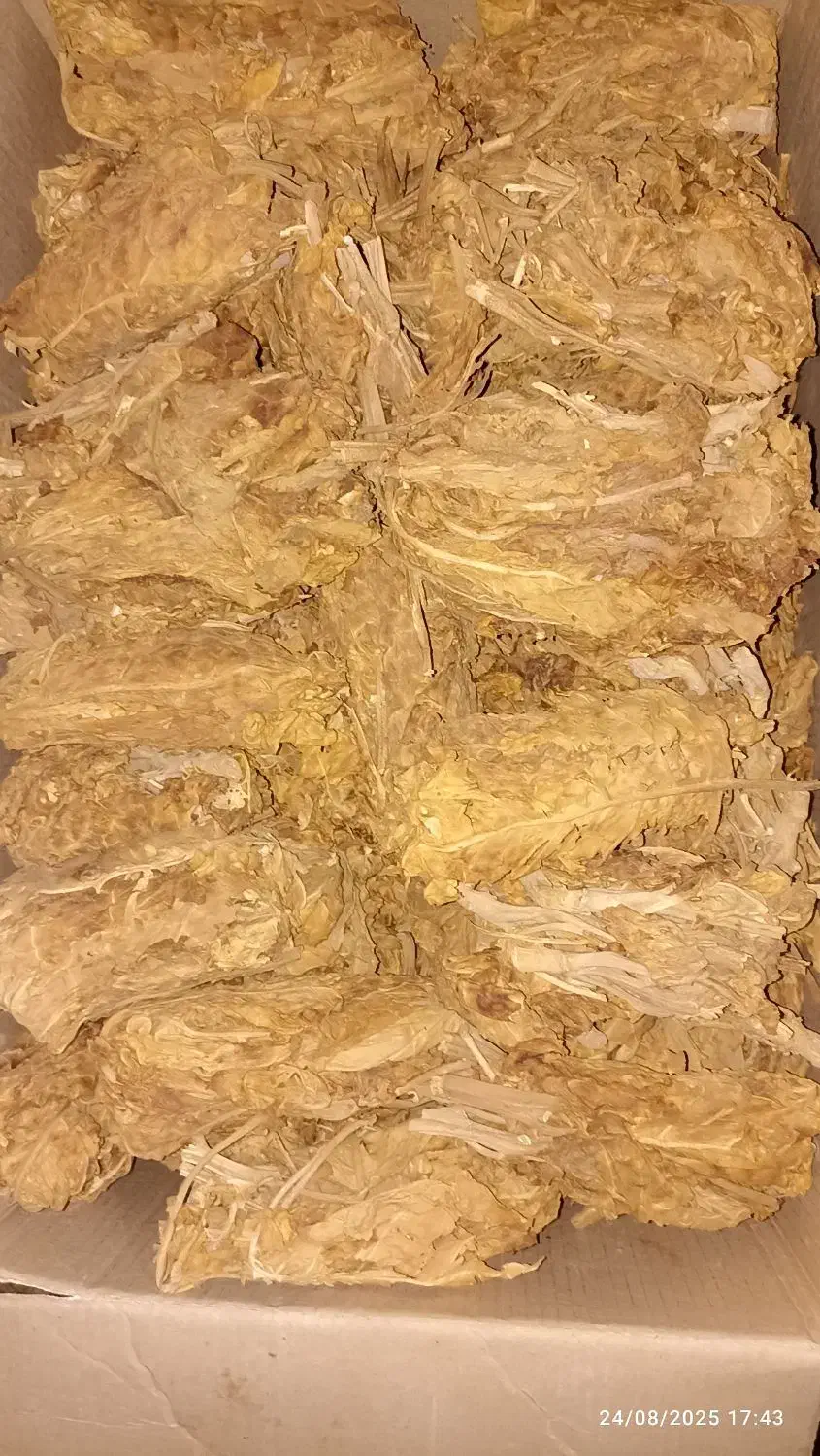 برگ دومزه|خوردنی و آشامیدنی|خمینیشهر, |دیوار