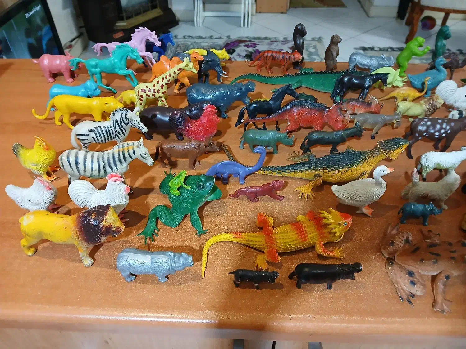 حیوانات اسباب بازی|اسباب‌‌بازی|ری, فیروزآبادی|دیوار