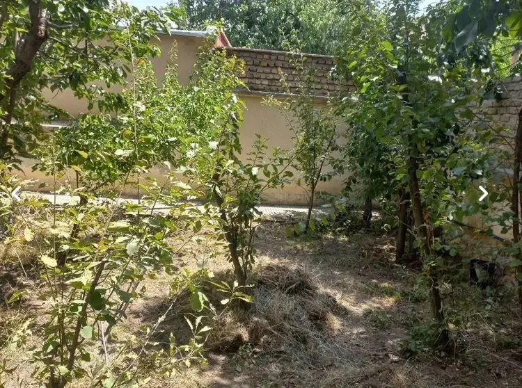 ویلا و باغ شهمیرزاد|فروش خانه و ویلا|شهمیرزاد, |دیوار