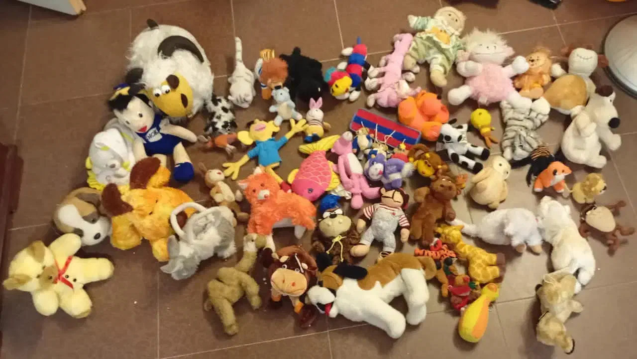 عروسک|اسباببازی|کرمان, |دیوار