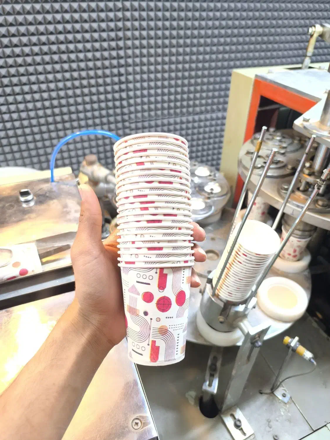 تولید کننده انواع لیوان کاغذی|ظروف نگهدارنده، پلاستیکی، یکبارمصرف|یزد, |دیوار