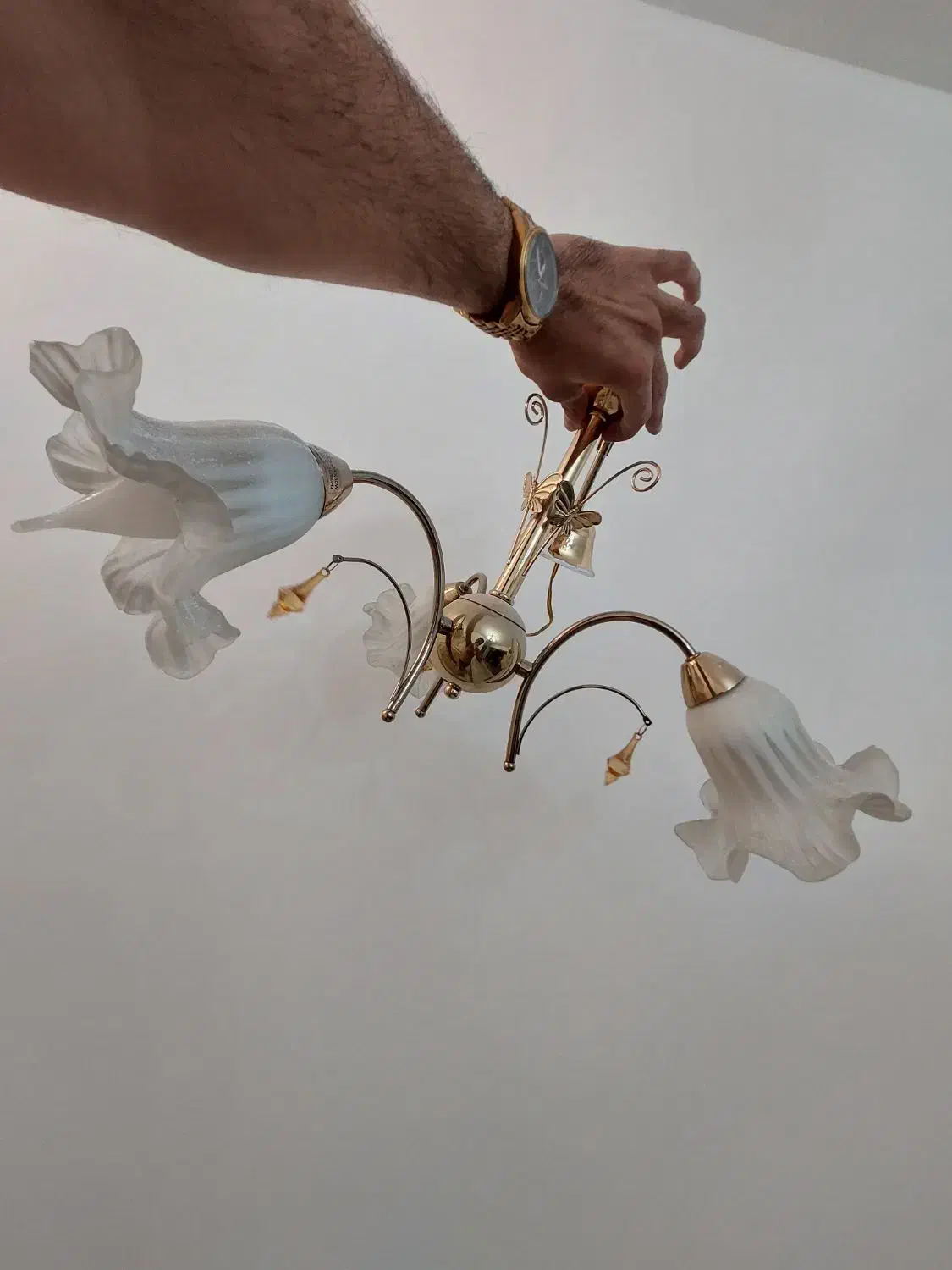 لوستر آویز|لوستر و چراغ آویز|شیراز, شهرک فرزانگان|دیوار