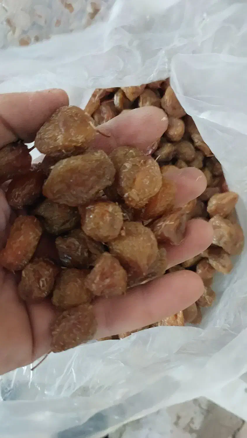 الو خوانسار|عمده‌فروشی|خوانسار, |دیوار