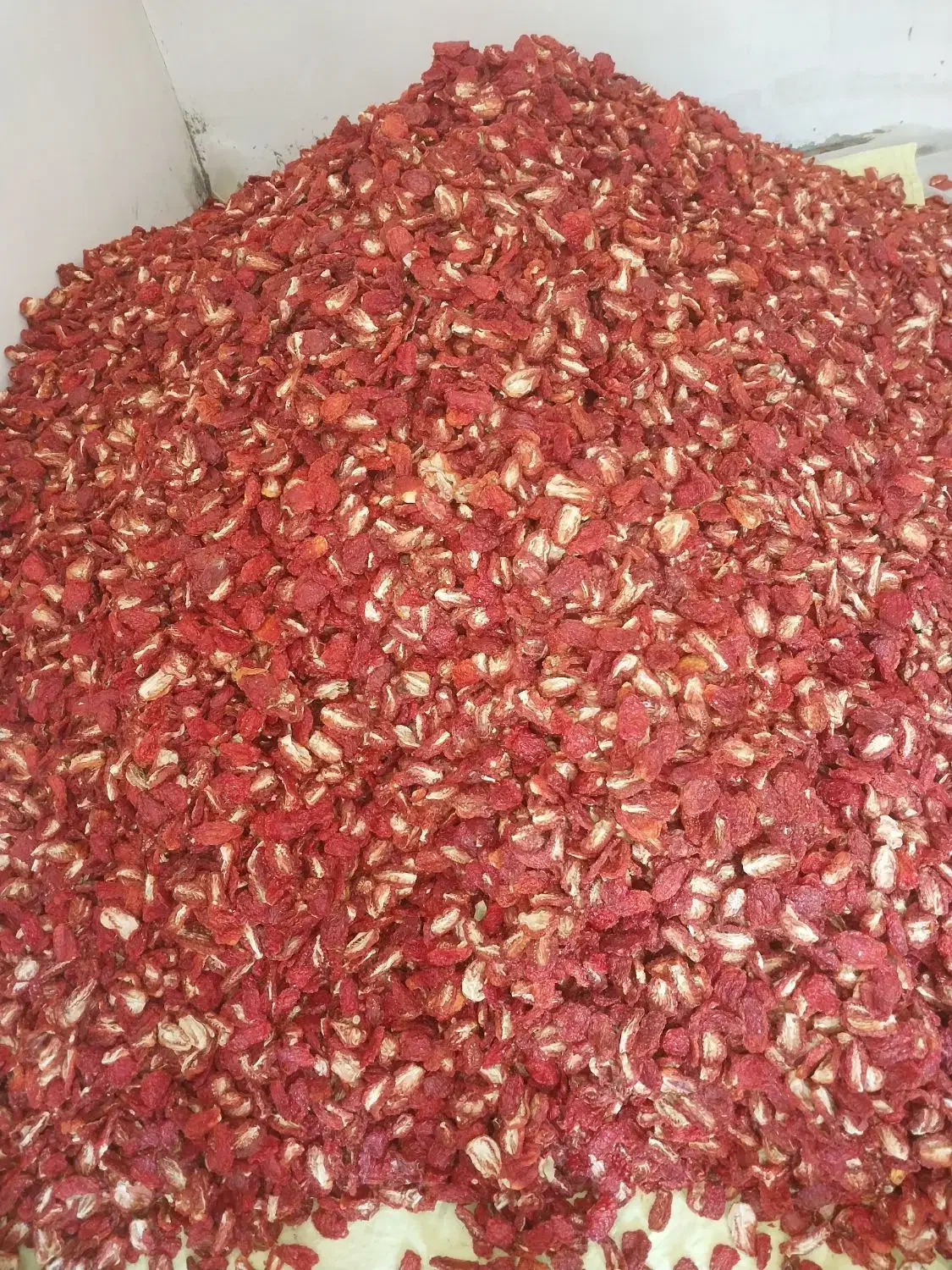 گوجه خشک دوقارچ خورشیدی|خوردنی و آشامیدنی|بکتاش, |دیوار