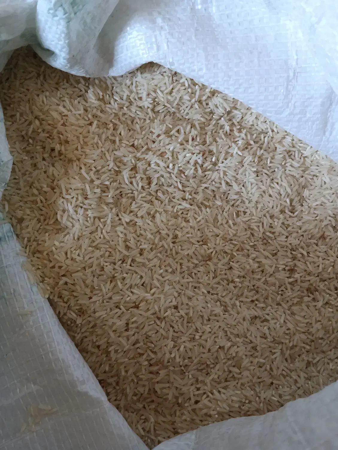 برنج طارم|خوردنی و آشامیدنی|سیروان, |دیوار