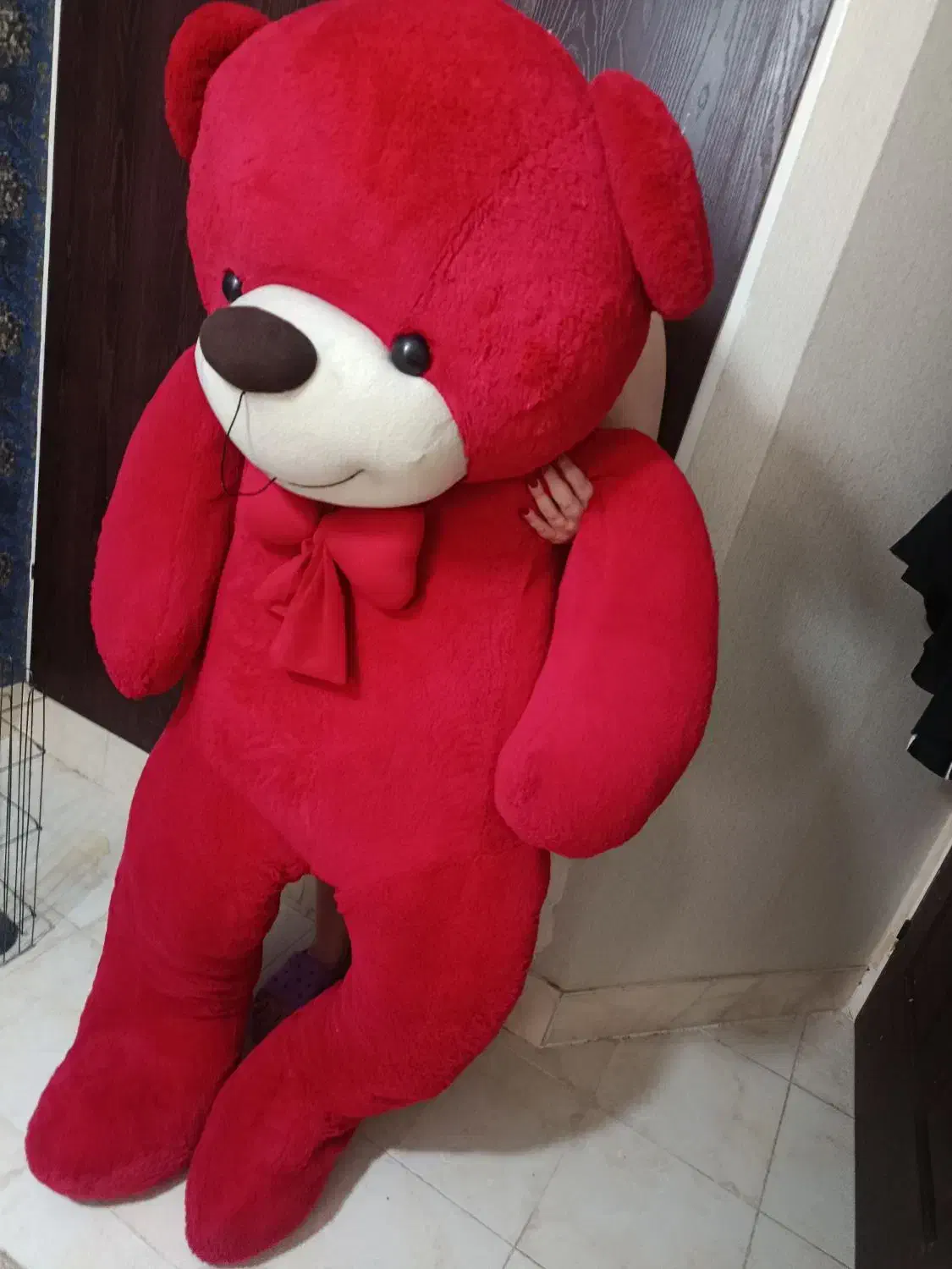 خرس ولنتاینی|اسباببازی|صدرا-فارس, فاز ۱|دیوار