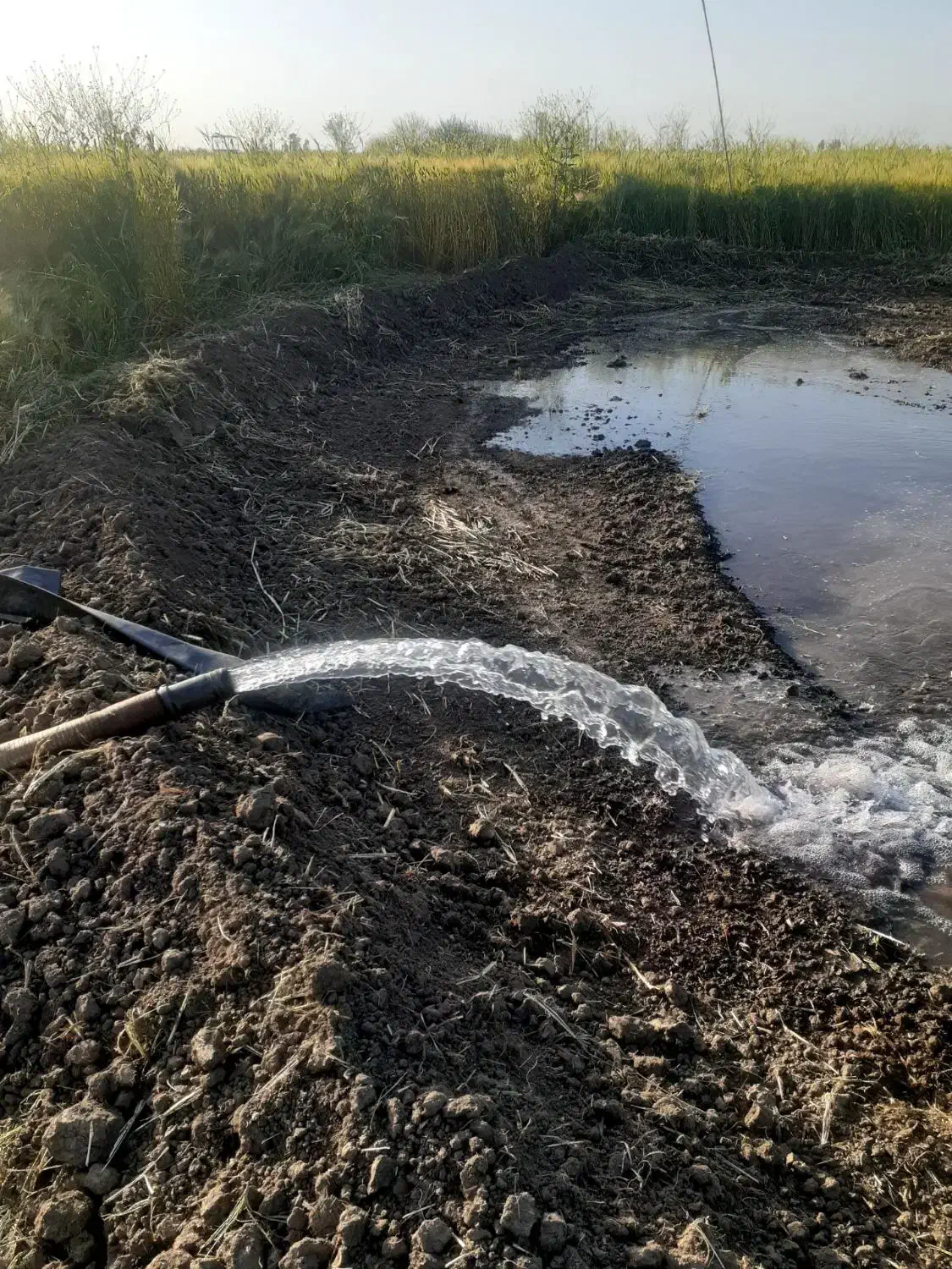 حفاری چاه لوله ای باتراکتور|خدمات پیشه و مهارت|دلند, |دیوار