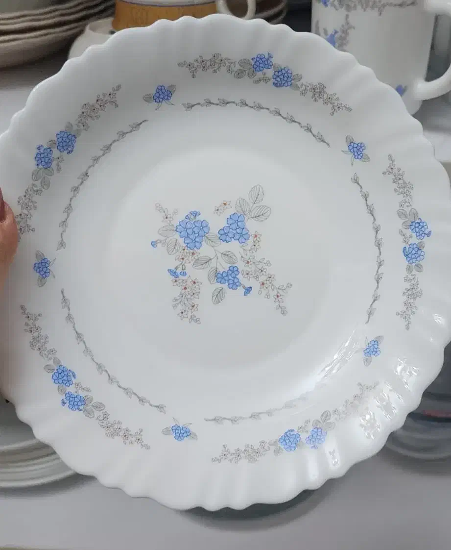 آرکوپال|ظروف سرو و پذیرایی|تهران, صادقیه|دیوار