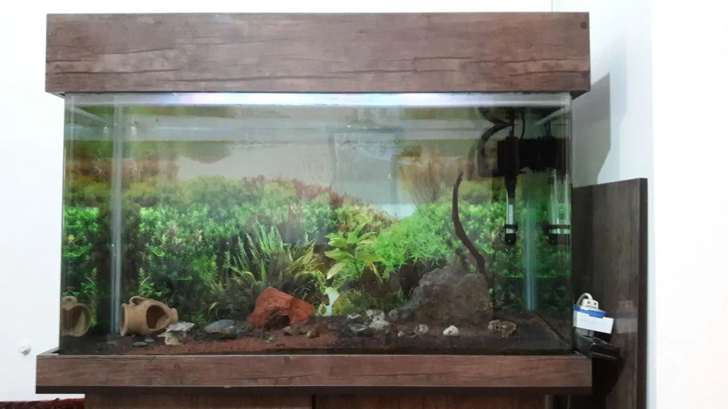 اکواریوم شیشه خم|ماهی|کرج, مصباح|دیوار