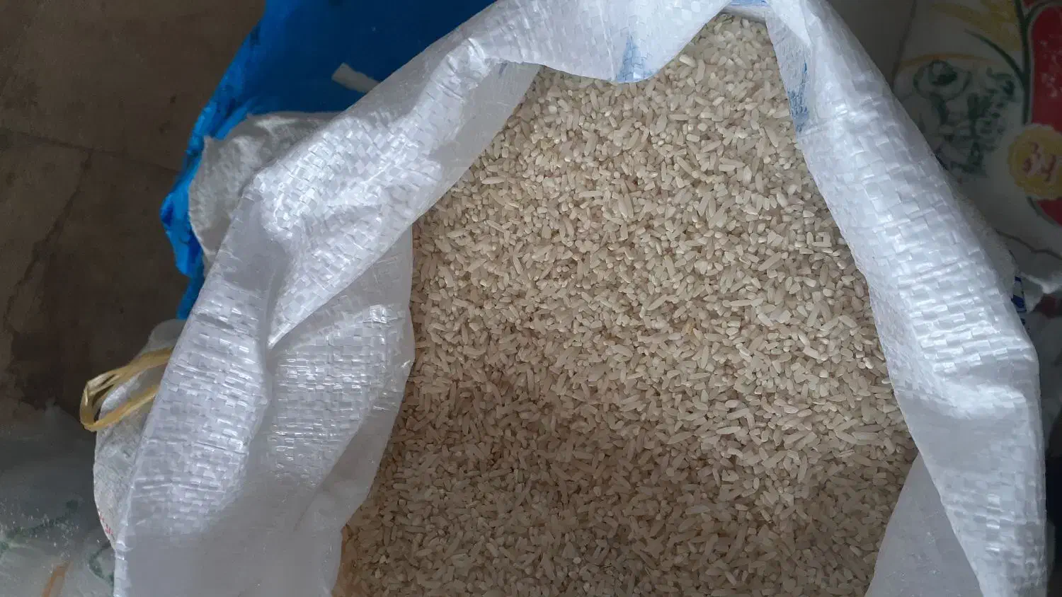 برنج قائم اطمینان درهردانه|عمده‌فروشی|بابلسر, |دیوار