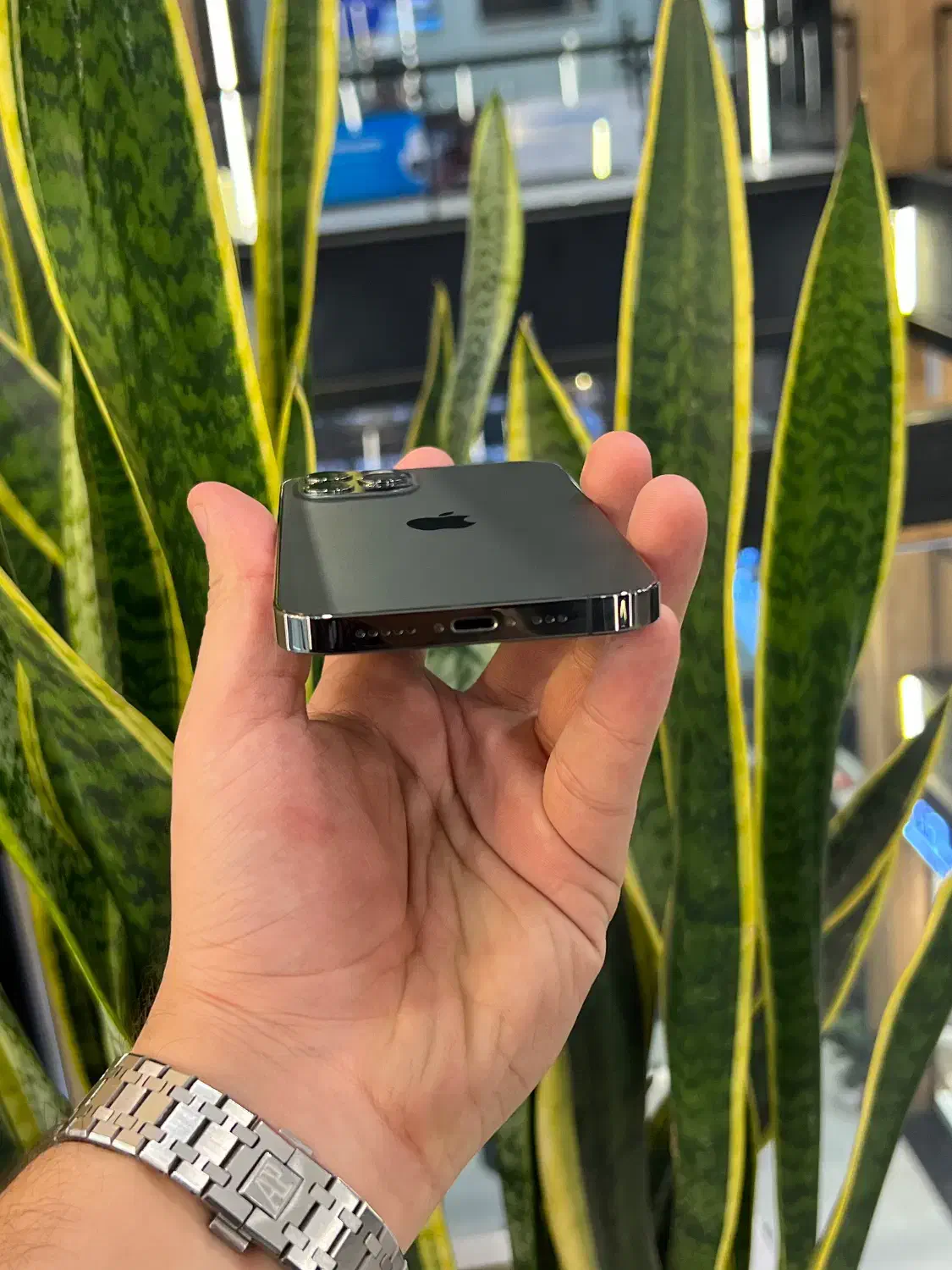 آیفون ۱۲پرو|موبایل|رشت, چله خانه|دیوار