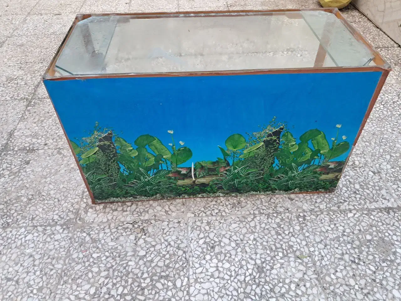 شیشه  آکواریوم|ماهی|رشت, فلسطین|دیوار