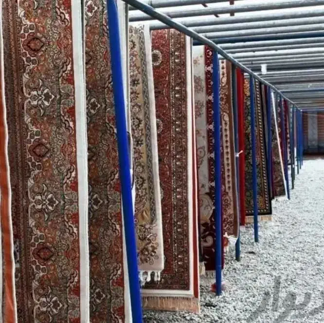 قالیشویی،قالی شویی وحدت همراه با سرویس دهی رایگان|خدمات نظافت|اهواز, گلستان|دیوار