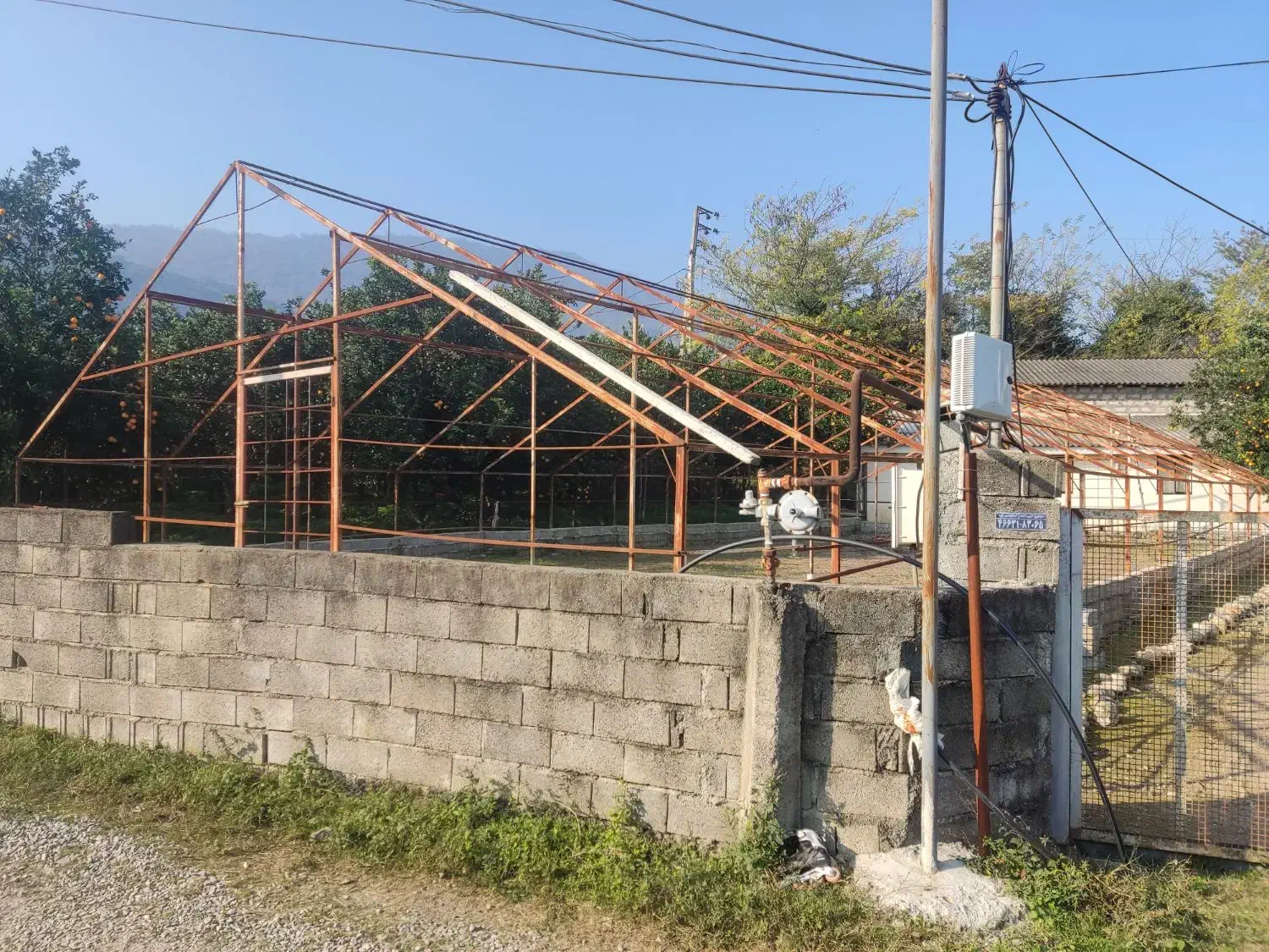 اجاره گلخانه|اجارهٔ دفتر صنعتی، کشاورزی، تجاری|چالوس, |دیوار