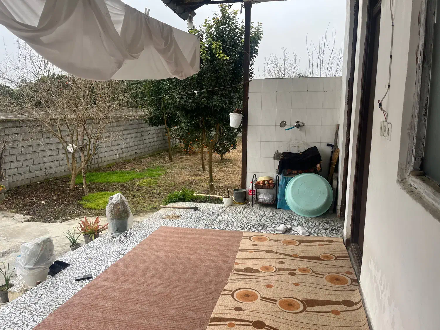 شمال سیمرغ کیاکلا|فروش خانه و ویلا|قائمشهر, |دیوار